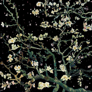 美国色情免费网站
