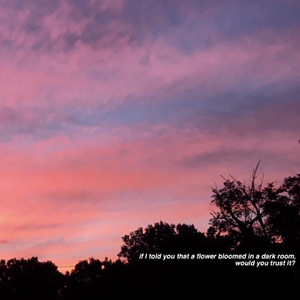 美国色情免费网站
