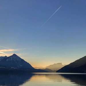 美国色情免费网站
