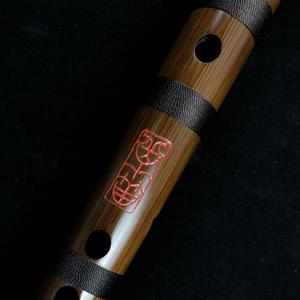 美国色情免费网站
